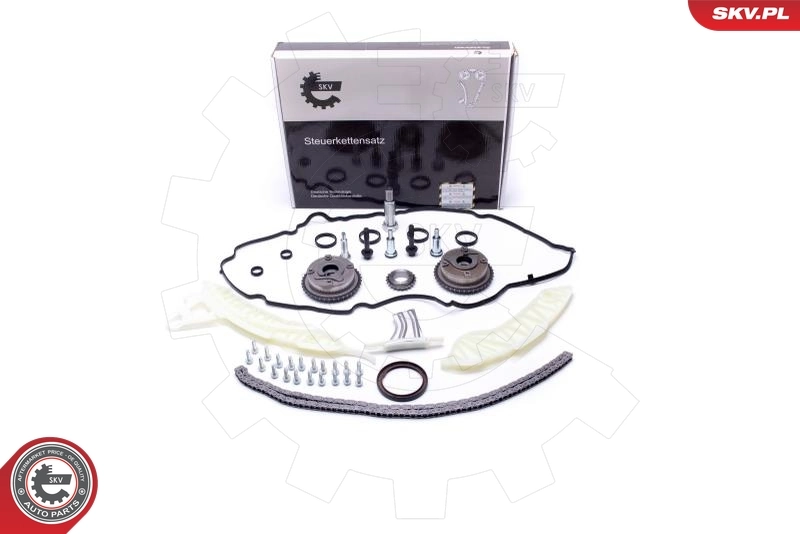 Timing Chain Kit